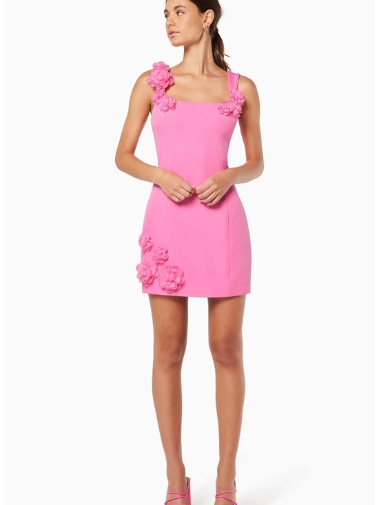 Elliatt Dresses & Skirts - NWOT Elliatt Trompe Rosette Minidress Hot Pink 3D Floral Appliqué S $200